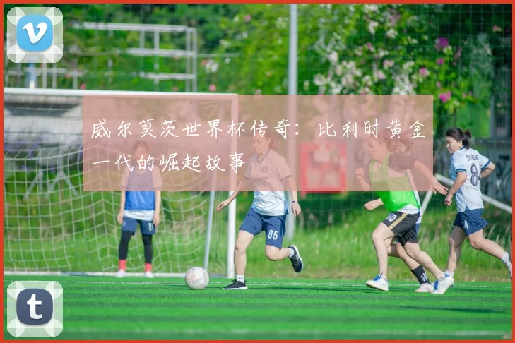 威尔莫茨世界杯传奇：比利时黄金一代的崛起故事