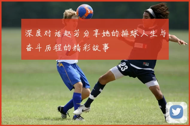 深度对话赵芳分享她的排球人生与奋斗历程的精彩故事
