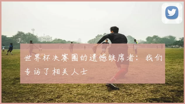 世界杯决赛圈的遗憾缺席者：我们专访了相关人士
