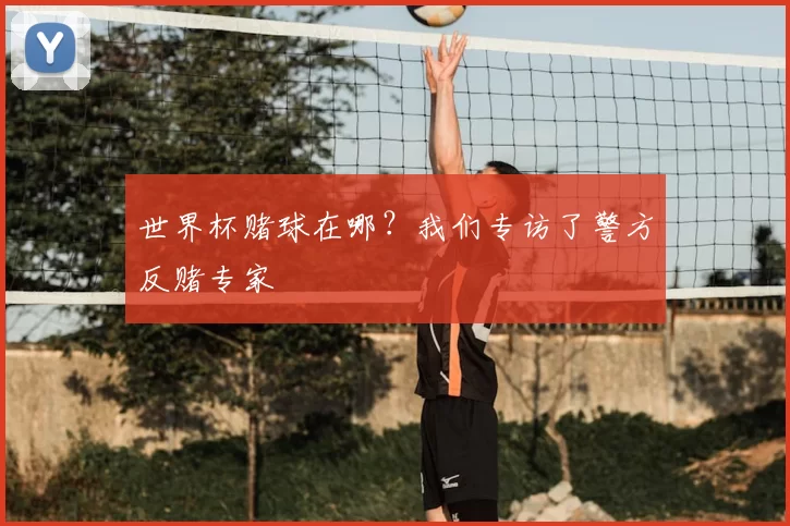 世界杯赌球在哪？我们专访了警方反赌专家