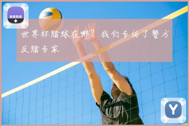 世界杯赌球在哪？我们专访了警方反赌专家
