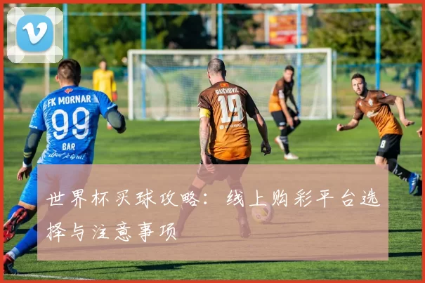 世界杯买球攻略：线上购彩平台选择与注意事项