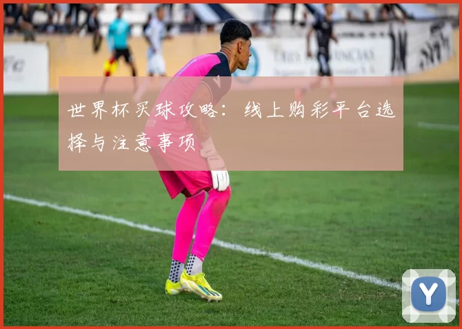 世界杯买球攻略：线上购彩平台选择与注意事项