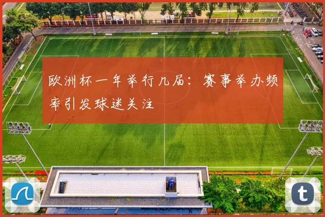 欧洲杯一年举行几届：赛事举办频率引发球迷关注